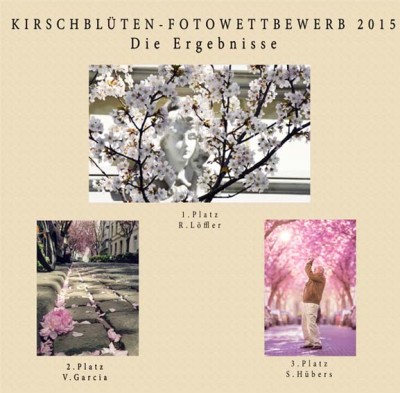 kirschbluetenfotowettbewerb2015