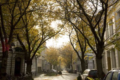 Herbstbild Heerstrasse in Bonn