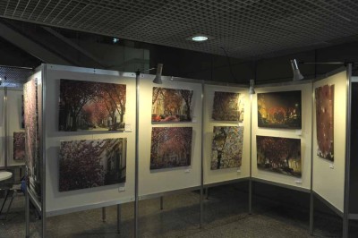 Stadthaus-Aufbau-kirschblütenausstellung-bonn