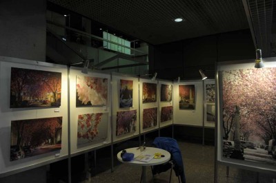 Stadthaus-Aufbau-kirschblütenausstellung-bonn