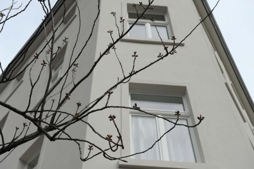 SA-2.4.16-Knospen-Heerstraße