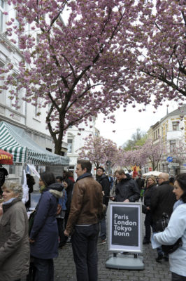 Kirschblütenliveticker-Kirschblütenfest-Bonn-Samstag-23.4.16