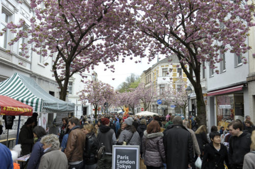 Kirschblütenliveticker-Kirschblütenfest-Bonn-Samstag-23.4.16