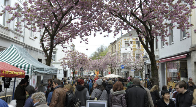 Kirschblütenliveticker-Kirschblütenfest-Bonn-Samstag-23.4.16
