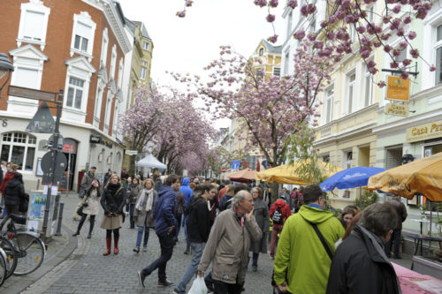 Kirschblütenliveticker-Kirschblütenfest-Bonn-Samstag-23.4.16