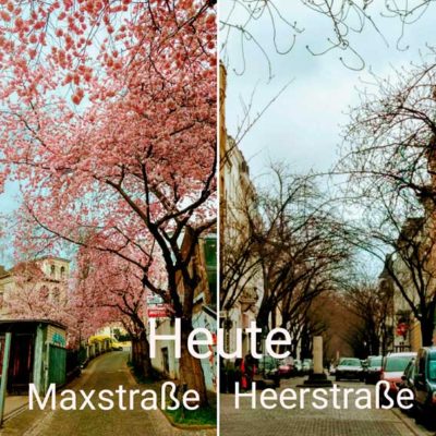 Vergleich Max-und Heerstraße
