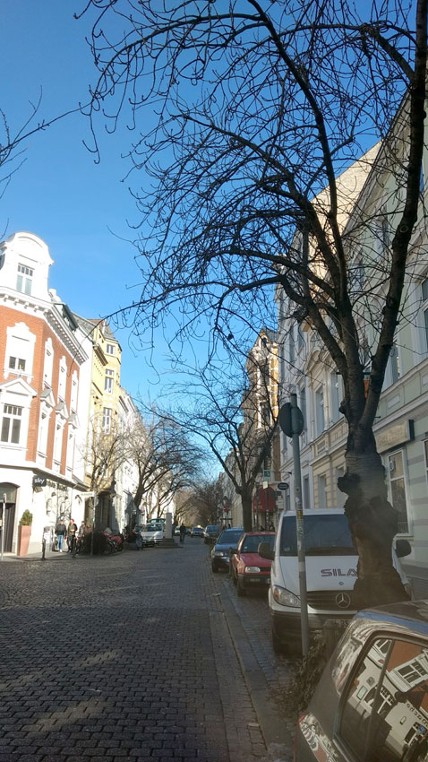 samstag-16.2.19-kirschbluete-heerstrasse-bonn