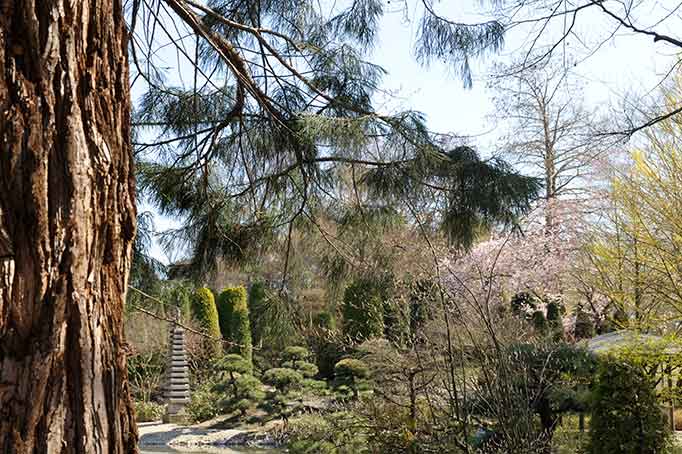 japanische garten