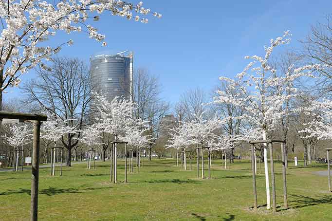 posttower bonn