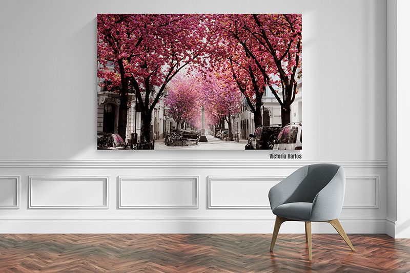 Bonner Kirschbluete-Galerieansicht