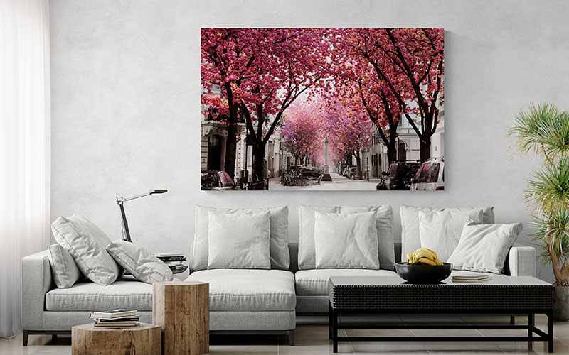 Kirschblüte Bonn Bild Wohnzimmeransicht