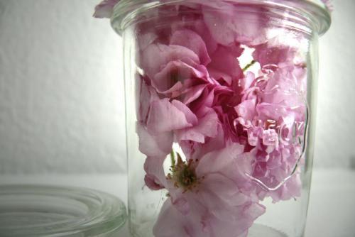 2012-Wettbewerb-Edith-Berkenkopf-1von