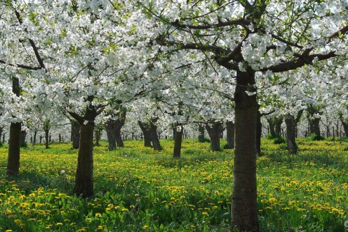 2012-Wettbewerb-Erika Pausch-1von3-B20