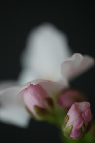 2012-Wettbewerb-Antje-Bockeloh-ema