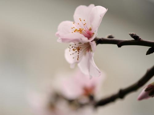 2012-Wettbewerb-Jürgen Mendel-emai