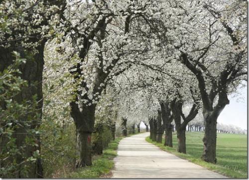 2012-Wettbewerb-Christina Fuckerieder-mail-1von1