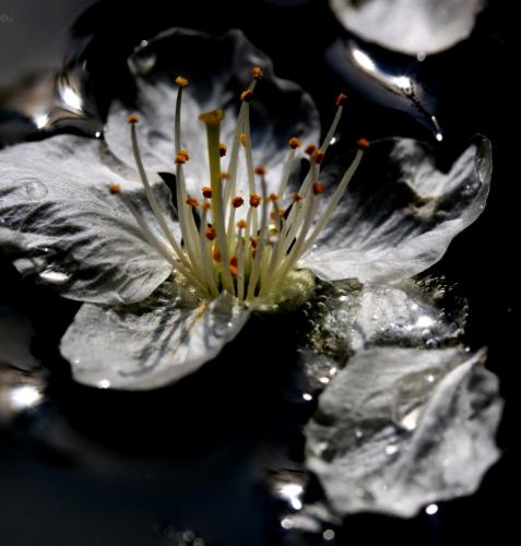 2012-Wettbewerb-Daniela-Paffenholz-email-3v3-IMG_2882