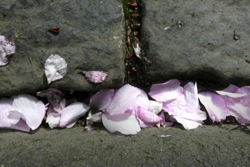 2012-Wettbewerb-Edith-Berkenkopf-2von3-3