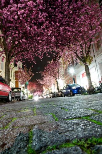 2012-Wettbewerb-Felix Oprean-email-1von3-DSC_2349