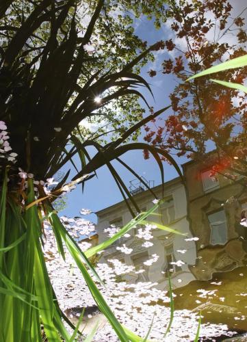 2012-Wettbewerb-Stephan Werner-1von3-Kirschblüten2012_10