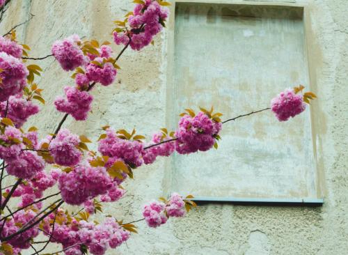 2012-Wettbewerb-regina_ackermann-2v3