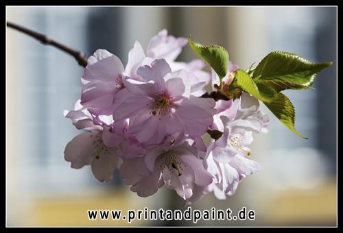 3.Platz-Johannes Koch