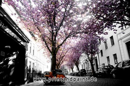 150-Alexia Perrotti-Breite Strasse3v3