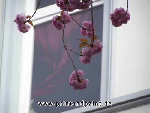 161-Rainer Lüneberg-100_8998-1v3