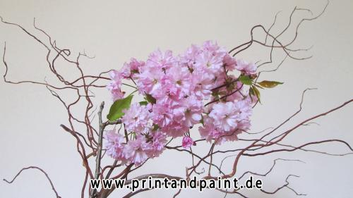 182-Kati Scherbeck-Kati_Blüte_Korkenzieher-3v3