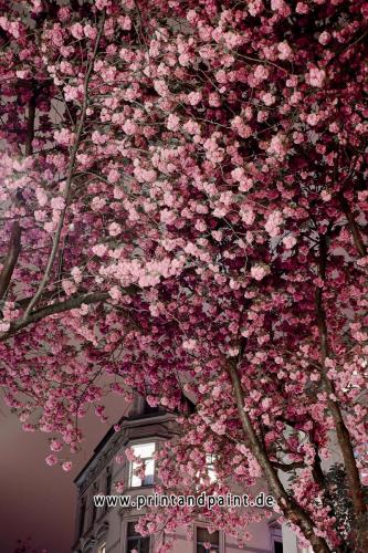 197-Franz-Häusler_DSC5194-2v3