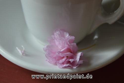 203-Gabriela Huber Martins-3v3