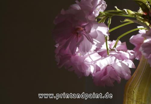 219-Rainer Tigges-in der Vase-2v2