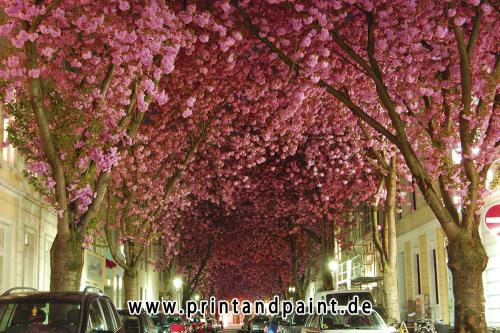 53-Xianming Xu-DSC_1027-1v3