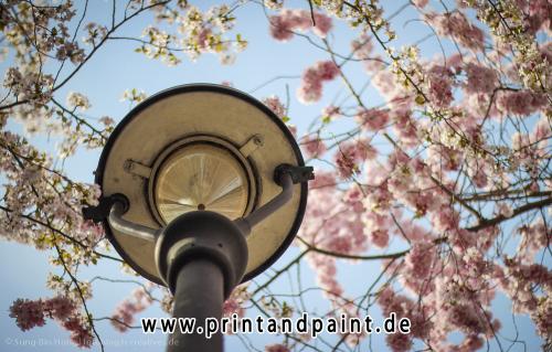 6-Sung-Bin Hong--2v3