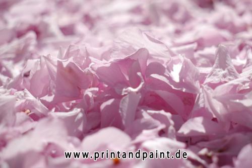 61-Larissa Neubauer-3v3