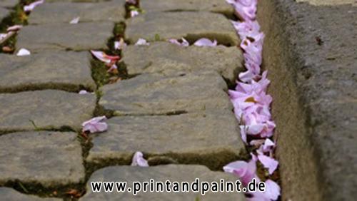 76-Martina Veith-P1070231-1v3