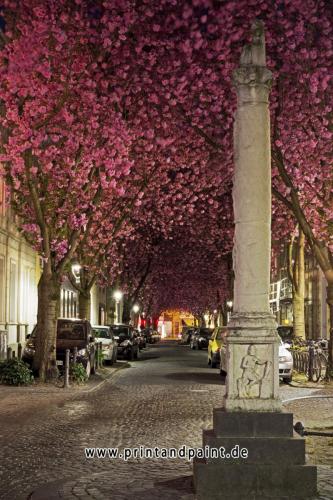 2.Platz-2013-Marc John