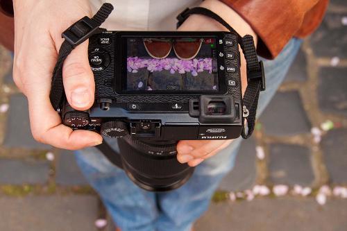 2014-wett-M.Lichte-Kirschblüte-2v3