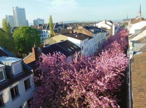 2014-wett-S.Scheer-Kirschblüte-2v3