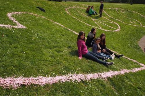 2014-wett-St.Christ-Kirschblüte-1v3