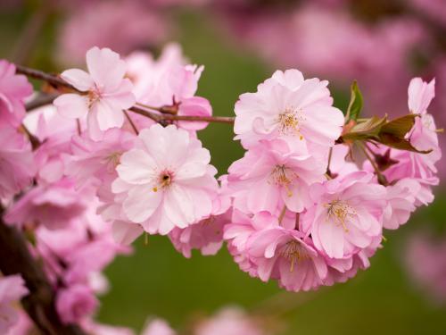 008-2015-Wett-Deponte_Fotowettbewerb-2-2p          