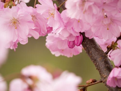 009-2015-Wett-Deponte_Fotowettbewerb-3          