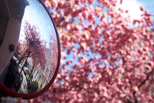 038-2015-Wett-J.Kampers-2v3          