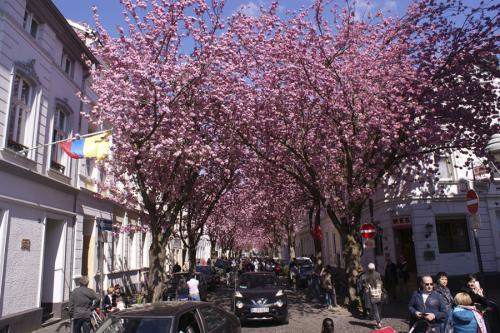 050-2015-Wett-C.CardeiraBild-3v3          