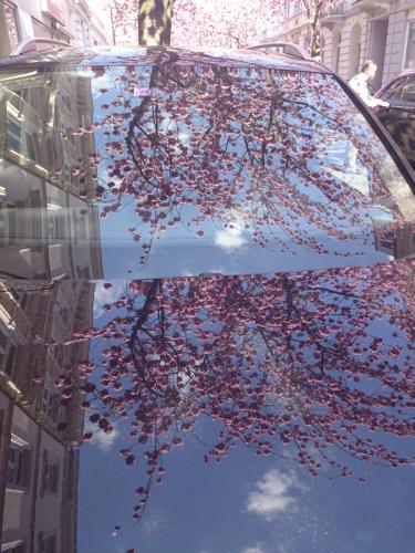 052-2015-Wett-H.Ammel-DSC_0613-2v3          