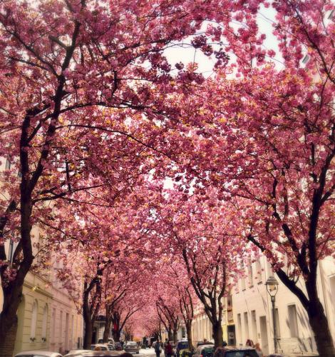 059-2015-Wett-L.Bönemann-Bild-3v3-7p          