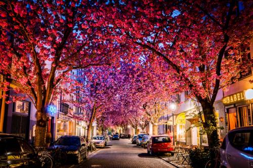 060-2015-Wett-J.Westerholt-1v3-10P       