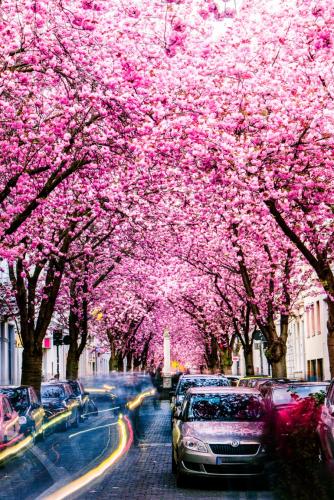 062-2015-Wett-J.Westerholt-3v3     