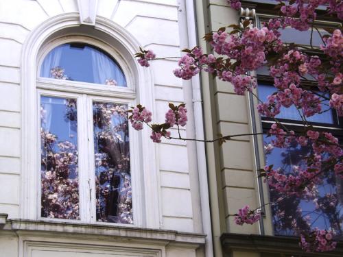 076-2015-Wett-K.Wiemann-DSCF8375-2v3      