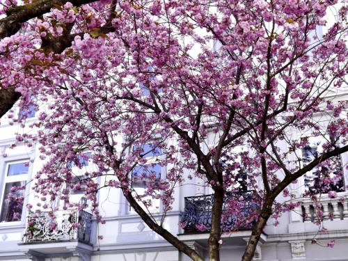 077-2015-Wett-K.Wiemann-DSCF83783-3v3      